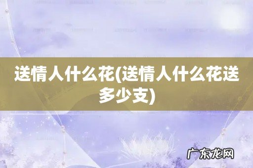 送情人什么花送多少支 送情人什么花