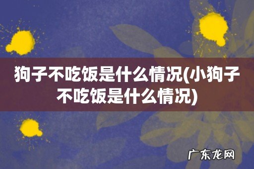 小狗子不吃饭是什么情况 狗子不吃饭是什么情况