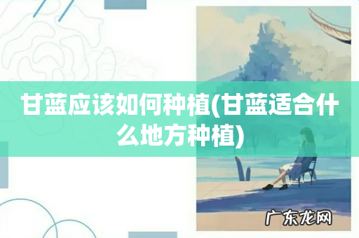 甘蓝适合什么地方种植 甘蓝应该如何种植