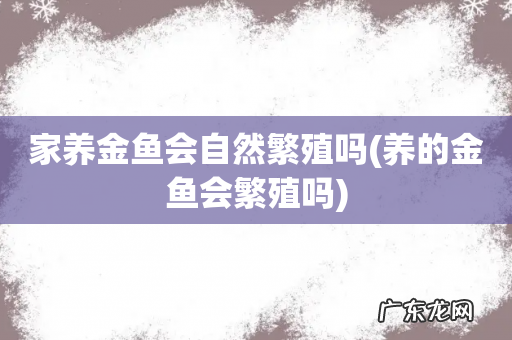 养的金鱼会繁殖吗 家养金鱼会自然繁殖吗