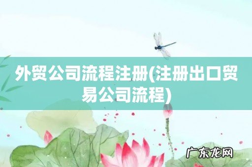注册出口贸易公司流程 外贸公司流程注册