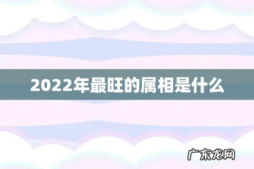 2022年最旺的属相是什么