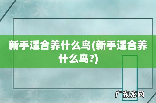 新手适合养什么鸟? 新手适合养什么鸟