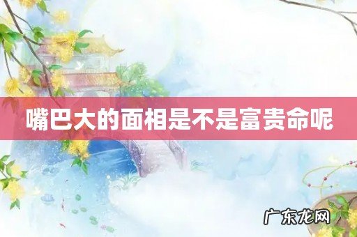 嘴巴大的面相是不是富贵命呢