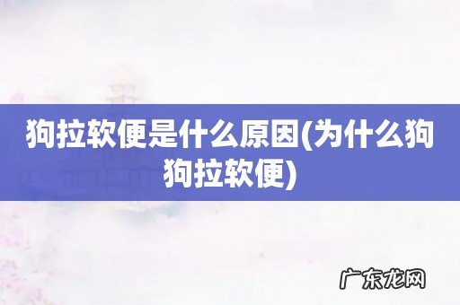 为什么狗狗拉软便 狗拉软便是什么原因