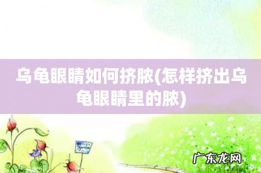 怎样挤出乌龟眼睛里的脓 乌龟眼睛如何挤脓