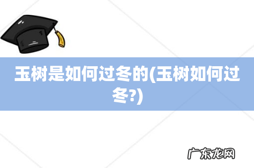 玉树如何过冬? 玉树是如何过冬的