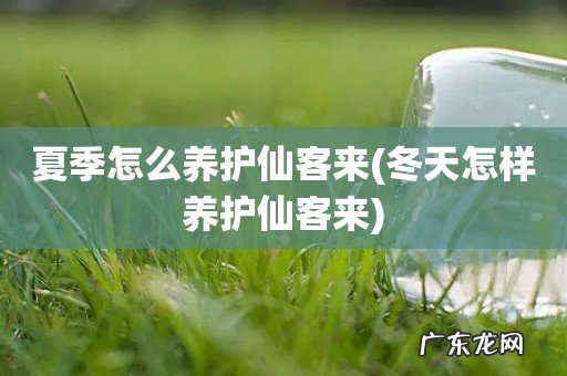 冬天怎样养护仙客来 夏季怎么养护仙客来