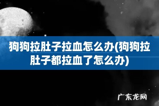 狗狗拉肚子都拉血了怎么办 狗狗拉肚子拉血怎么办