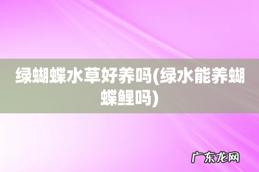 绿水能养蝴蝶鲤吗 绿蝴蝶水草好养吗