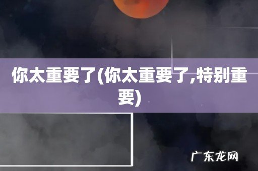 你太重要了,特别重要 你太重要了