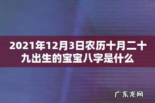 2021年12月3日农历十月二十九出生的宝宝八字是什么