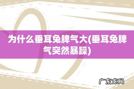 垂耳兔脾气突然暴躁 为什么垂耳兔脾气大
