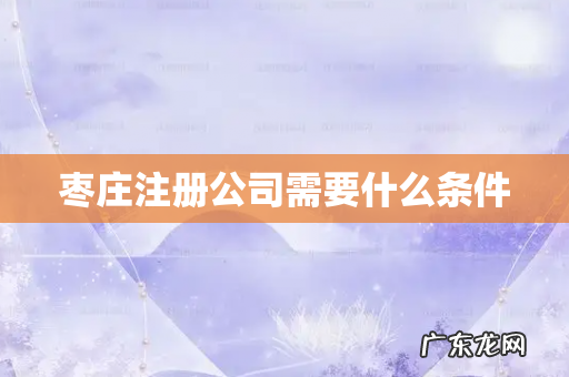 枣庄注册公司需要什么条件