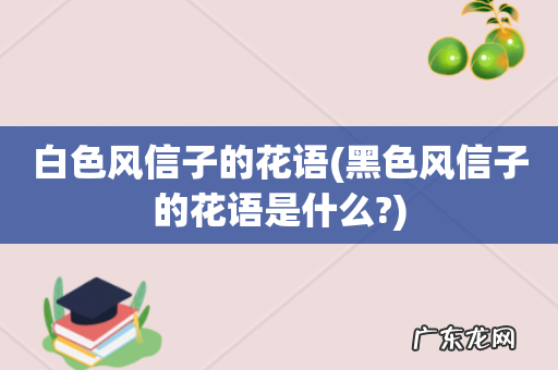 黑色风信子的花语是什么? 白色风信子的花语
