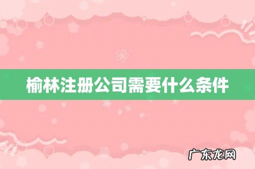 榆林注册公司需要什么条件