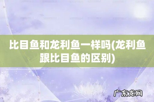 龙利鱼跟比目鱼的区别 比目鱼和龙利鱼一样吗