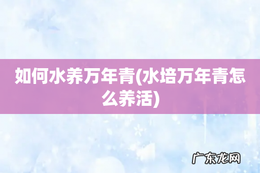 水培万年青怎么养活 如何水养万年青