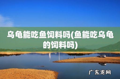鱼能吃乌龟的饲料吗 乌龟能吃鱼饲料吗