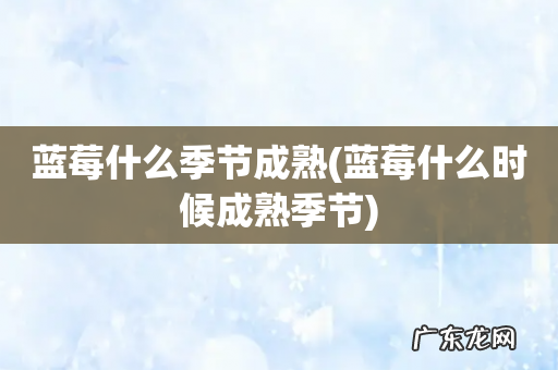 蓝莓什么时候成熟季节 蓝莓什么季节成熟