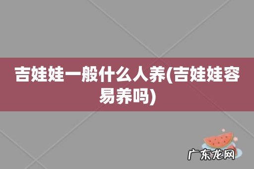 吉娃娃容易养吗 吉娃娃一般什么人养