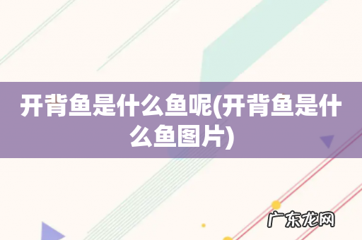 开背鱼是什么鱼图片 开背鱼是什么鱼呢