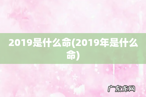 2019年是什么命 2019是什么命