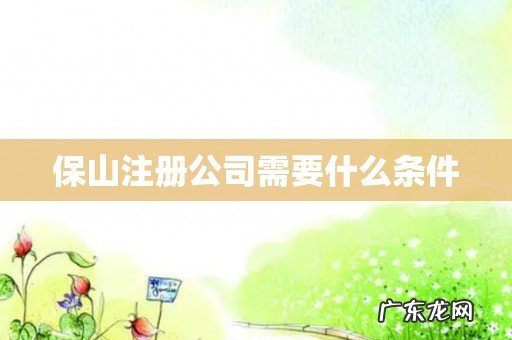 保山注册公司需要什么条件