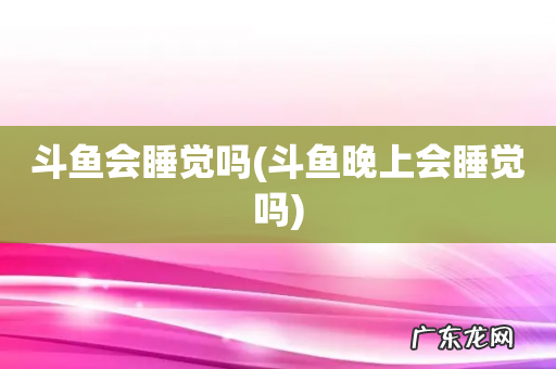 斗鱼晚上会睡觉吗 斗鱼会睡觉吗