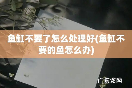 鱼缸不要的鱼怎么办 鱼缸不要了怎么处理好