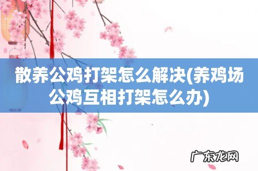 养鸡场公鸡互相打架怎么办 散养公鸡打架怎么解决