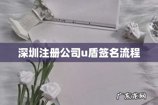 深圳注册公司u盾签名流程