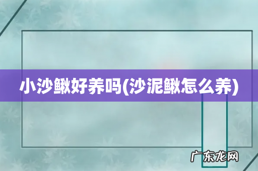 沙泥鳅怎么养 小沙鳅好养吗
