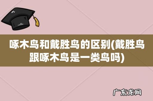 戴胜鸟跟啄木鸟是一类鸟吗 啄木鸟和戴胜鸟的区别