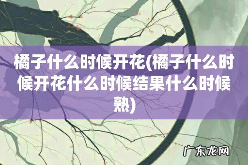 橘子什么时候开花什么时候结果什么时候熟 橘子什么时候开花