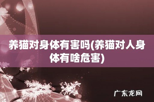 养猫对人身体有啥危害 养猫对身体有害吗