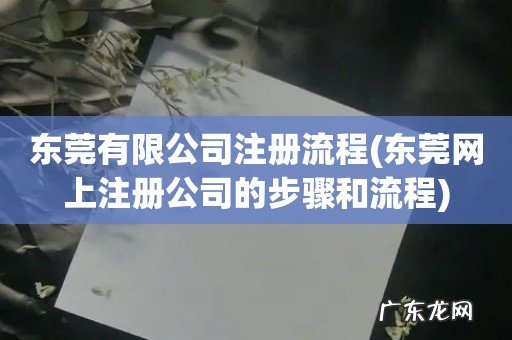 东莞网上注册公司的步骤和流程 东莞有限公司注册流程