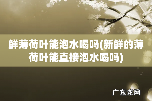 新鲜的薄荷叶能直接泡水喝吗 鲜薄荷叶能泡水喝吗