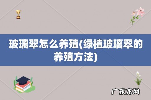 绿植玻璃翠的养殖方法 玻璃翠怎么养殖