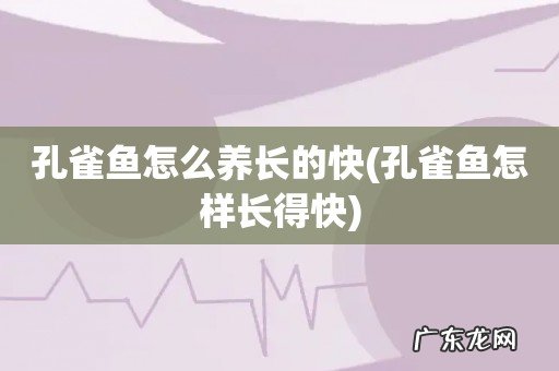 孔雀鱼怎样长得快 孔雀鱼怎么养长的快