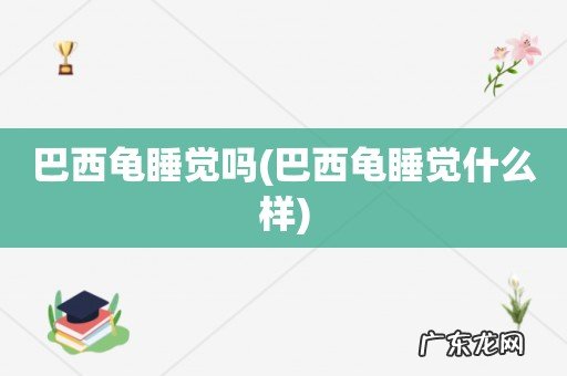 巴西龟睡觉什么样 巴西龟睡觉吗