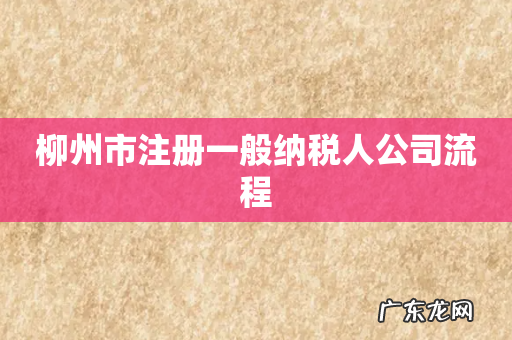 柳州市注册一般纳税人公司流程