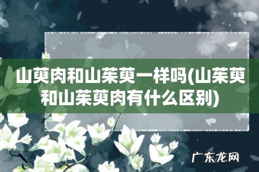 山茱萸和山茱萸肉有什么区别 山萸肉和山茱萸一样吗