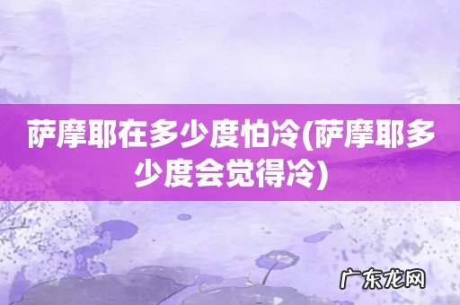 萨摩耶多少度会觉得冷 萨摩耶在多少度怕冷