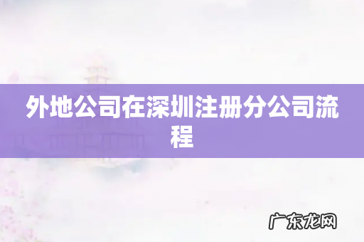 外地公司在深圳注册分公司流程