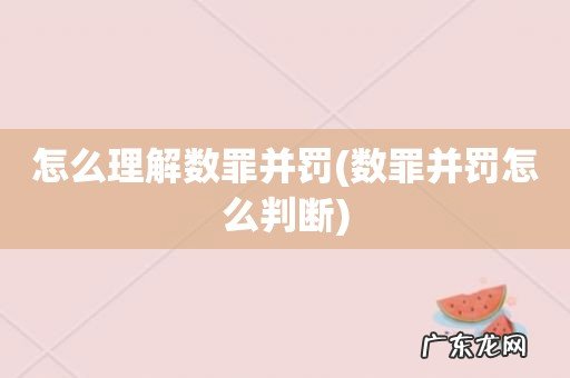 数罪并罚怎么判断 怎么理解数罪并罚