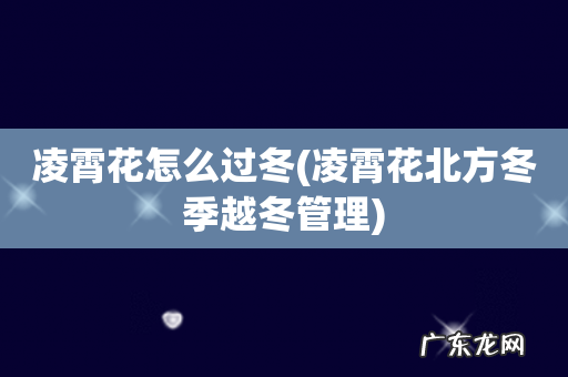 凌霄花北方冬季越冬管理 凌霄花怎么过冬