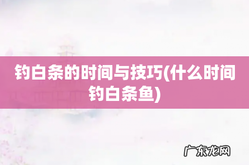 什么时间钓白条鱼 钓白条的时间与技巧