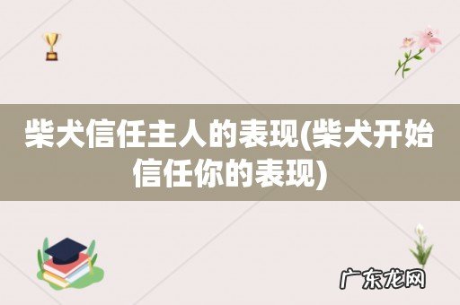 柴犬开始信任你的表现 柴犬信任主人的表现