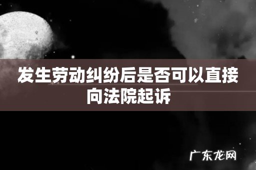 发生劳动纠纷后是否可以直接向法院起诉
